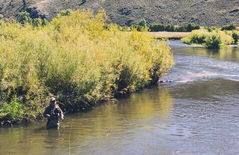 Image of HoCo|FW Gunnison Sockeyes Fly Fishing Clinic