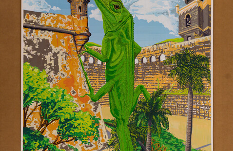 Anolis Cuvieri by Osra West