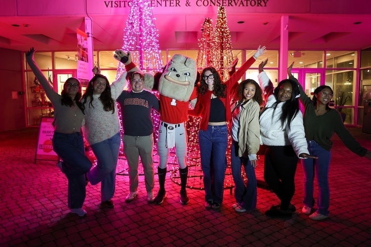 Winter WonderLights Season Premiere