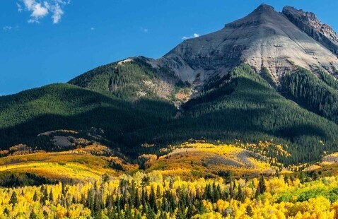 Mountain and gold leaves