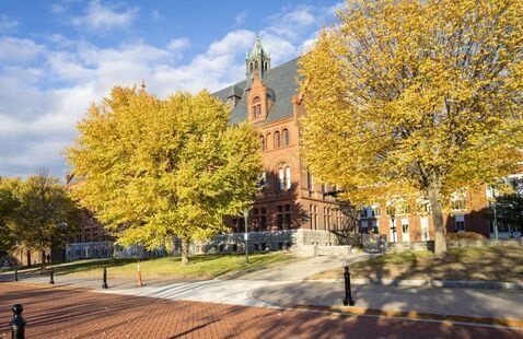 Two trees with yellow and orange leaves on University Row at UVM