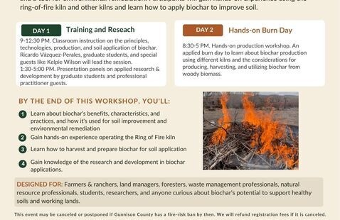 Image of Biochar Workshop: Principles, Innovations, Production & Application