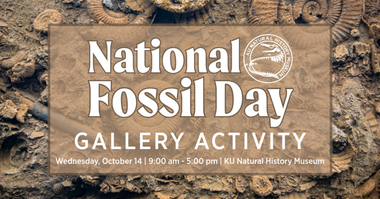 National Fossil Day Gallery Activity