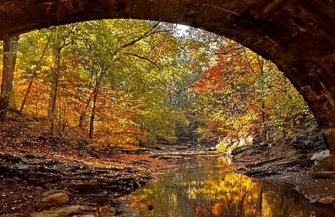 Fall Photo Contest, McCormick's Creek State Park