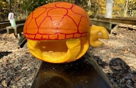 Pumpkin Carving Contest, McCormick's Creek State Park