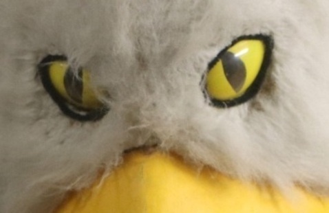 A close up of the original Eppy mascot costume.