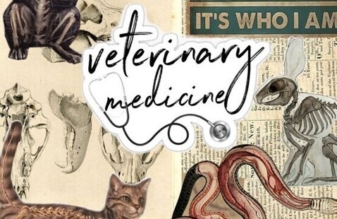 A scrapbook of animals skeletal diagrams with the words Veterinary Medicine overlayed. 