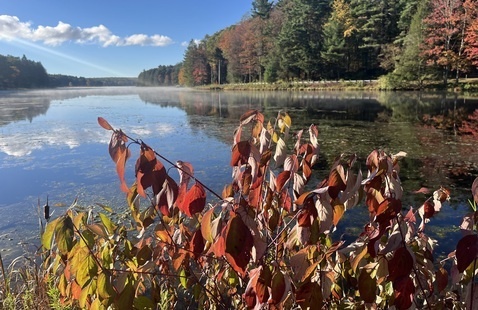 Image of Autumn Kayak