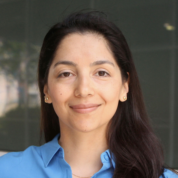 Marcela Ibáñez — Authoritarian Aid and Democratic Attitudes: Backlash, Not Diffusion