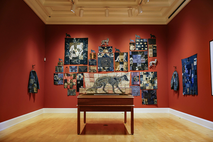 Douglas Pierre Baulos: A Bird's Eye View