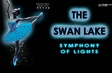 the swan lake 