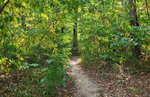 The Discovery Trail in late September
