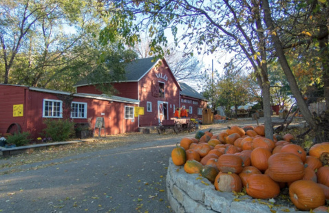 Valas Pumpkin Patch