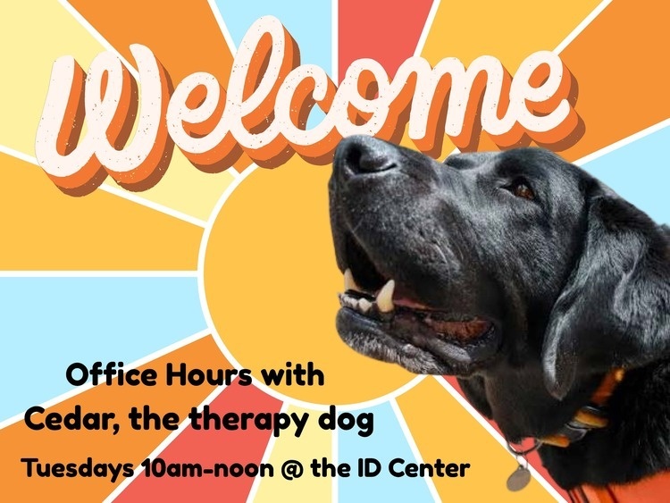 Mornings with Cedar, the therapy dog