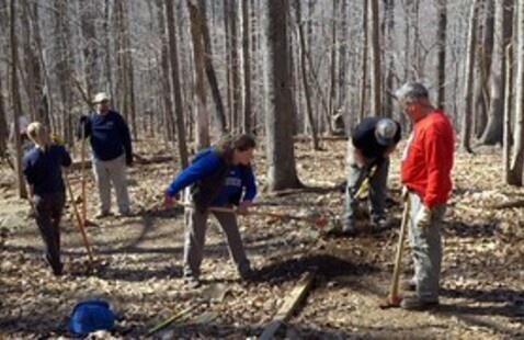 People working in the woods