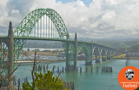 Yaquina Bay Bridge, Newport Oregon