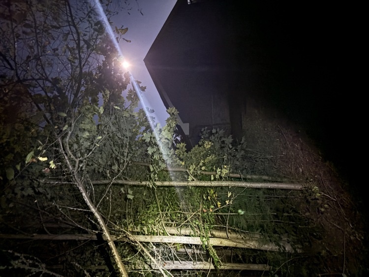 Haunted History Hike Graphic