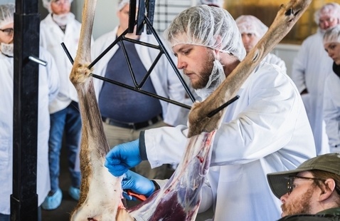 Person dressed in personal protective gear processing a deer on a rack.
