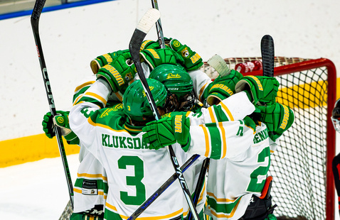 Hockey Team