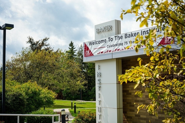 Baker Institute Discovery Day