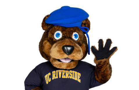 Scotty Bear Wave Right