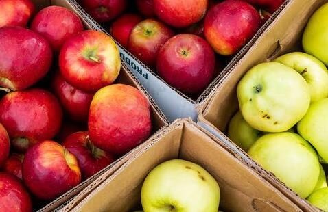 Apples