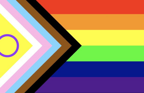 an image of the trans and intersex inclusive rainbow flag