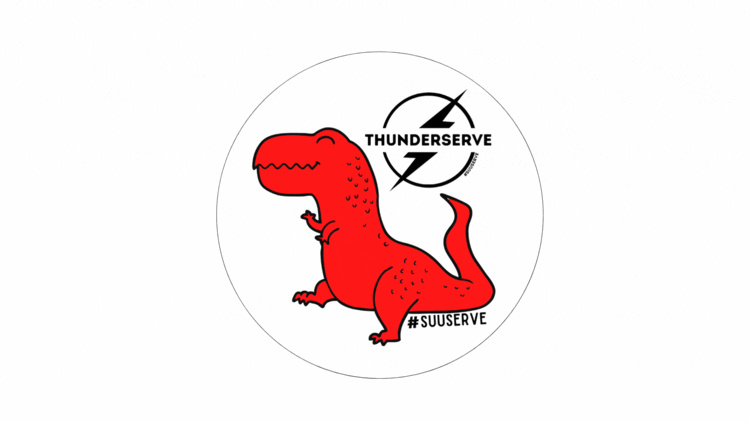 ThunderServe