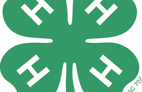 Image of 4-H Honor Club Meeting