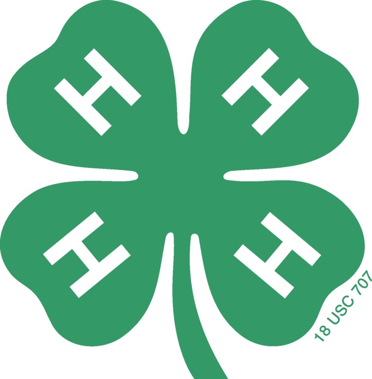 4-H Honor Club Meeting