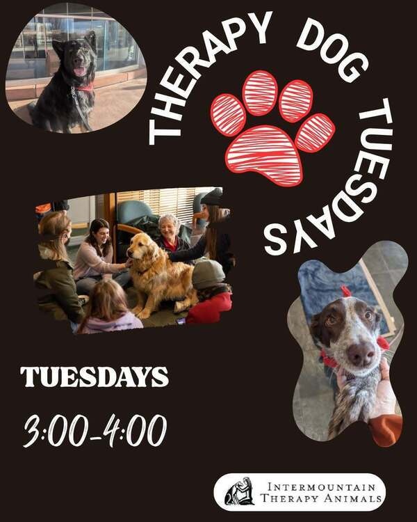 Therapy Dog Tuesdays
