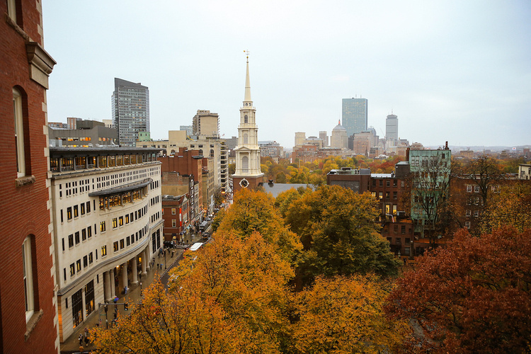 Ram for a Day: Customer Centricity and Creativity in Marketing