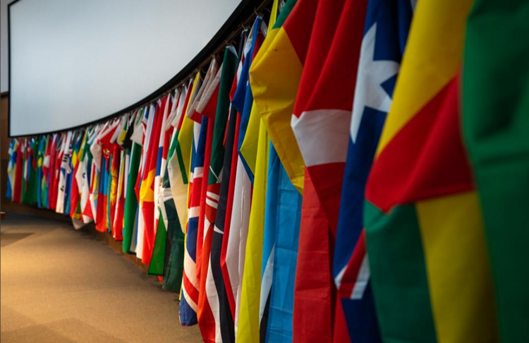 Division of Global Engagement Open House