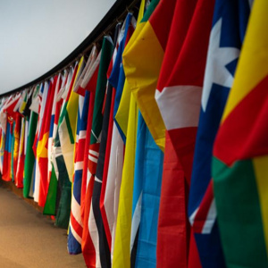 Event: Division of Global Engagement Open House