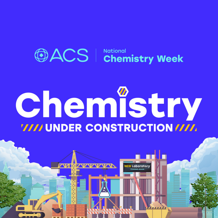 Chemistry Under Construction Panel