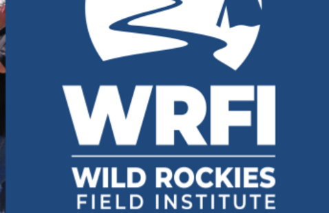 WRFI Logo