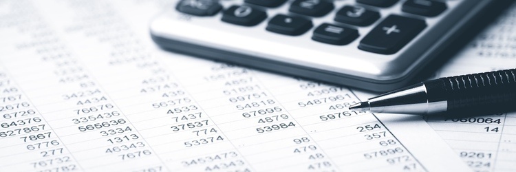 Accounting Panel