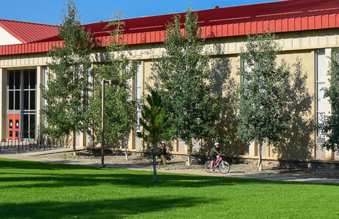 The exterior of Leslie J. Savage Library on a summer day.