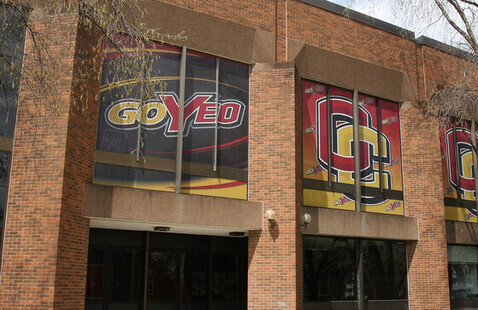 Image of Executive Functioning Tutoring - Group Study Sessions