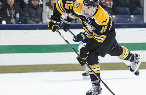 Image of Men's Ice Hockey vs Ferris State