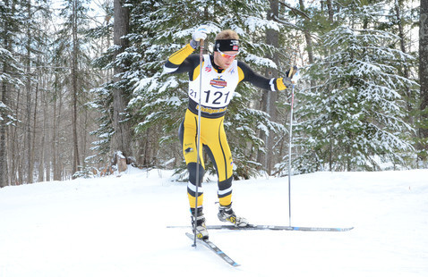 Nordic skier on the trail.