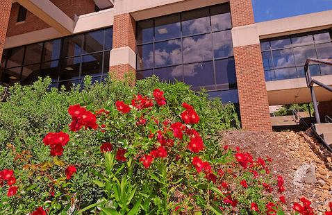 Image of Math Club - Social Event