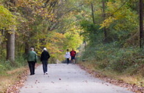Image of Guided Nature Hike