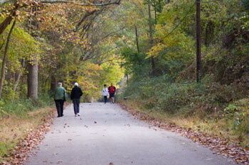Guided Nature Hike