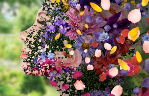 Image of UT Opera Theatre presents Mozart's The Secret Gardener
