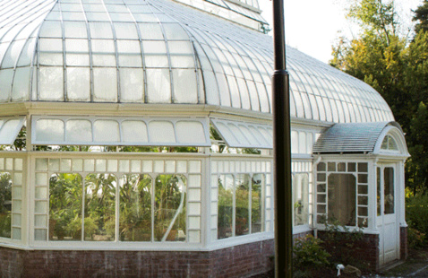 Image of Talcott Greenhouse